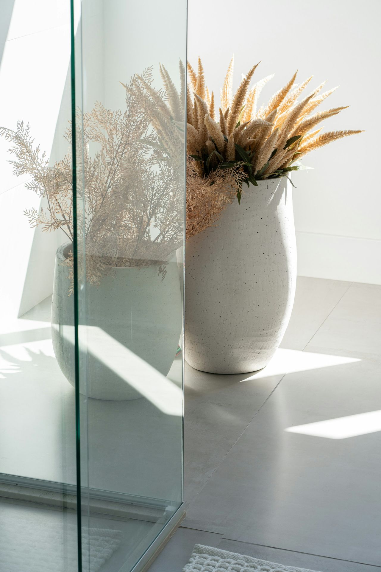 Dried plants in white ceramic pots with sunlight and shadows